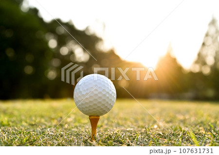 ゴルフイメージ 107631731