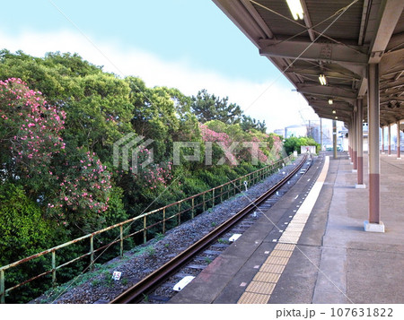南海電鉄和歌山港線 和歌山港駅 南海電鉄和歌山港線 和歌山港駅 107631822