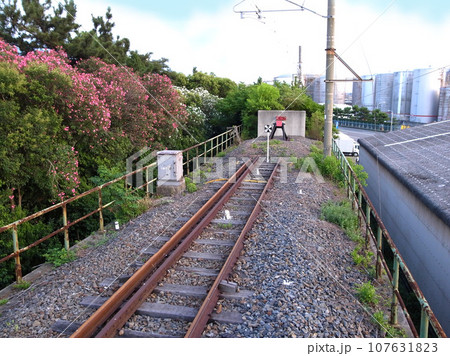 南海電鉄和歌山港線 和歌山港駅 107631823