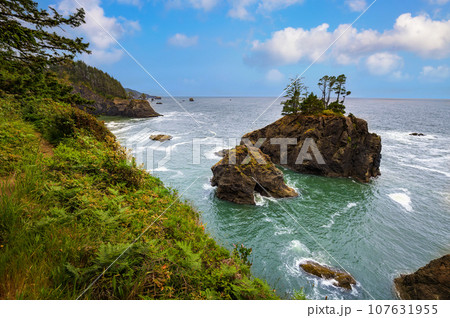 Samuel H. Boardman State Scenic Corridor in Oregon, USA. Samuel H. Boardman State Scenic Corridor in Oregon, USA. 107631955