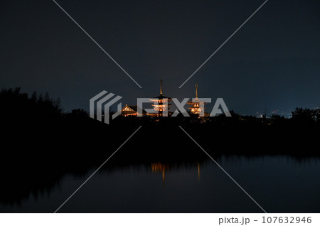 冬の薬師寺の夜景 107632946