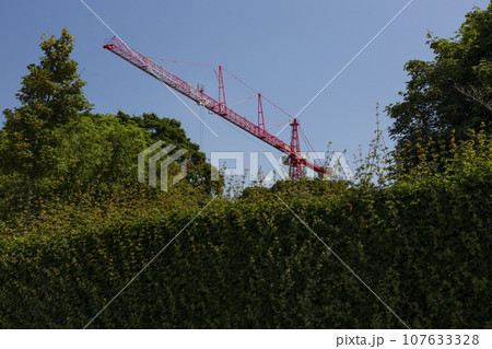 Fragment of a large construction crane behind a bush 107633328