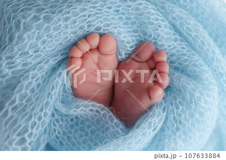 Close-up of tiny, cute, bare toes, heels and feet of a newborn girl, boy. Baby foot on blue soft coverlet, blanket. Detail of a newborn baby legs. Macro horizontal professional studio photo.  107633884