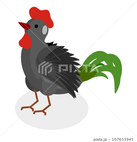 3D Isometric Flat Vector Set of Chickens. Item 4 107633945
