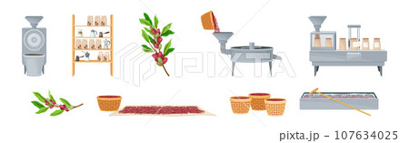 Coffee Industrial Production Process with Equipment and Ripe Crop Vector Set Coffee Industrial Production Process with Equipment and Ripe Crop Vector Set 107634025