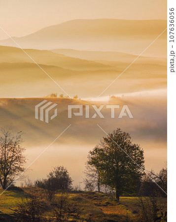 mountainous countryside landscape at dawn. grassy rural fields on the rolling hills in morning light. trees in fall colors. fog in the distant valley. bright sky with clouds above the ridge 107636056