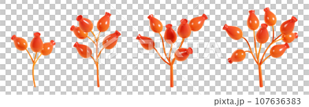 Autumn red rosehip berry branch 3d render illustration set. Cartoon bright colorful stems with ripe plant fruit dog rose for fall or winter season design - botanical element of harvest. Autumn red rosehip berry branch 3d render illustration set. Cartoon bright colorful stems with ripe plant fruit dog rose for fall or winter season design - botanical element of harvest. 107636383