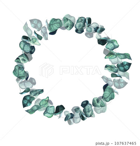 Eucalyptus watercolour wreath. Branches with leaves illustration isolated on white. Wedding decor, poster, logo, invitation. Christmas decoration 107637465