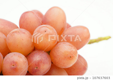 クイーンルージュ（ぶどう） 107637603