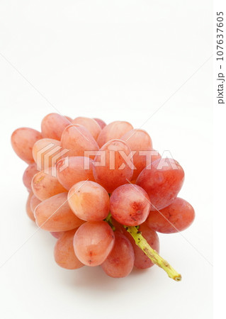 クイーンルージュ(ぶどう) クイーンルージュ(ぶどう) 107637605