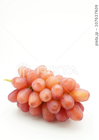 クイーンルージュ（ぶどう） 107637609