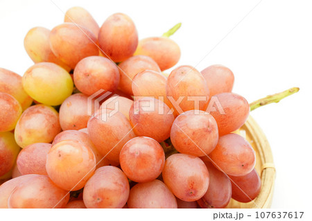 クイーンルージュ（ぶどう） 107637617