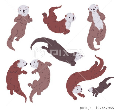 Set of cute sea otters in different poses flat style, vector illustration 107637935