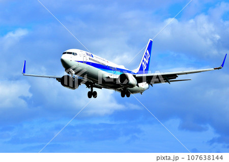 大阪国際空港　ANA　飛行機　着陸態勢　千里川尻 107638144