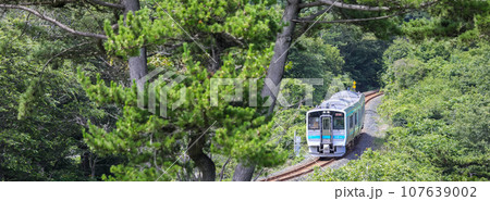 「青森県」種差海岸を走る電車　八戸線 107639002