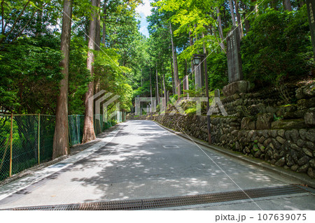 三峯神社　参道　真夏の風景　秩父市　 107639075