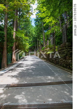 三峯神社 参道 真夏の風景 秩父市 三峯神社 参道 真夏の風景 秩父市 107639076