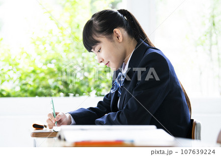 勉強する女子中学生 勉強する女子中学生 107639224