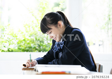 勉強する女子中学生 107639228