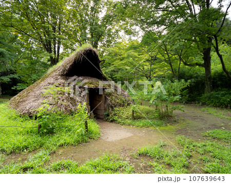 復元された竪穴住居 縄文の村 東京都 復元された竪穴住居 縄文の村 東京都 107639643