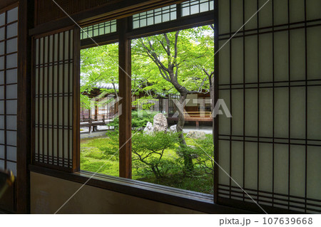 建仁寺　潮音庭　新緑の季節（京都市東山区） 107639668