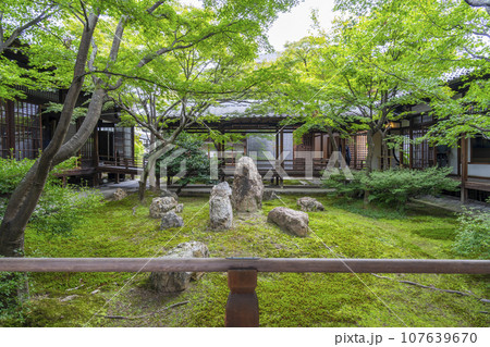 建仁寺　潮音庭　美しい庭（京都市東山区） 107639670