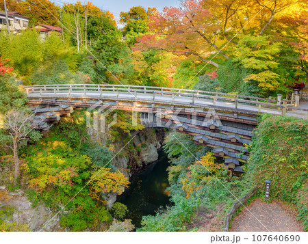山梨_甲斐の猿橋と紅葉の絶景 山梨_甲斐の猿橋と紅葉の絶景 107640690