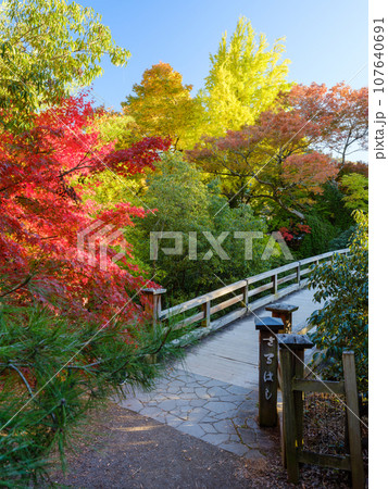 山梨_甲斐の猿橋と紅葉の絶景 107640691