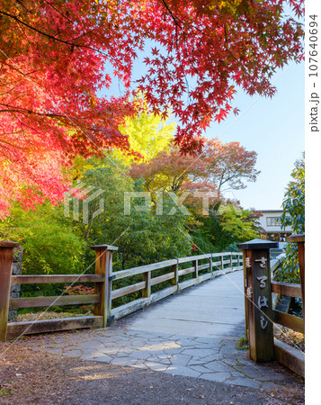 山梨_甲斐の猿橋と紅葉の絶景 107640694