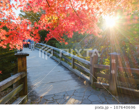 山梨_甲斐の猿橋と紅葉の絶景 山梨_甲斐の猿橋と紅葉の絶景 107640696