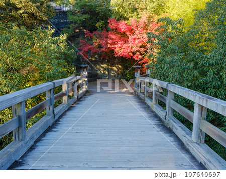 山梨_甲斐の猿橋と紅葉の絶景 山梨_甲斐の猿橋と紅葉の絶景 107640697
