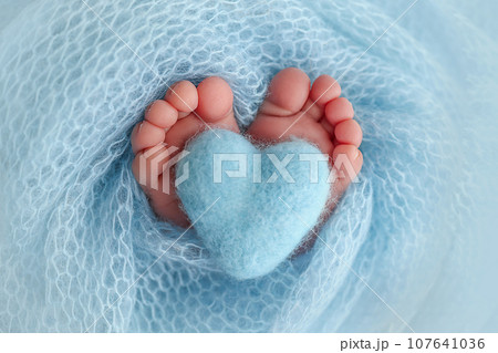 Closeup of toes, heels and feet of a newborn. Knitted blue heart in the legs of baby.The tiny foot of a newborn baby. Soft feet of a new born in a wool blue blanket. Macro studio photography. Closeup of toes, heels and feet of a newborn. Knitted blue heart in the legs of baby.The tiny foot of a newborn baby. Soft feet of a new born in a wool blue blanket. Macro studio photography. 107641036