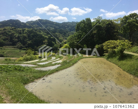 大山千枚田、田植えを待つ最上段の水を張った棚田 大山千枚田、田植えを待つ最上段の水を張った棚田 107641362