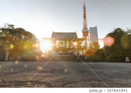 増上寺 東京タワー 東京タワー 107641941