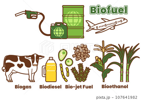 バイオ燃料の種類と原材料のイラストのセット(英語) バイオ燃料の種類と原材料のイラストのセット(英語) 107641982