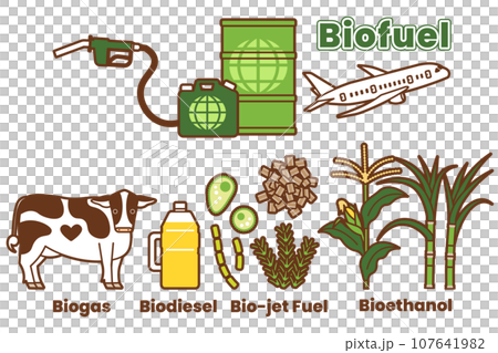 バイオ燃料の種類と原材料のイラストのセット(英語) バイオ燃料の種類と原材料のイラストのセット(英語) 107641982