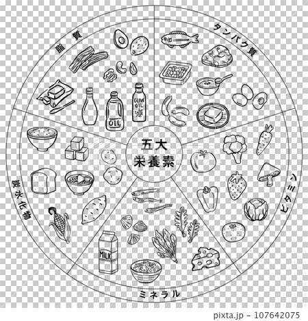 五大栄養素 食品 一覧表 1色 五大栄養素 食品 一覧表 1色 107642075