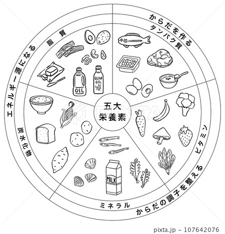 五大栄養素 三色食品群 食品 一覧表 1色 五大栄養素 三色食品群 食品 一覧表 1色 107642076