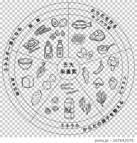 五大栄養素 三色食品群 食品 一覧表 1色 五大栄養素 三色食品群 食品 一覧表 1色 107642076