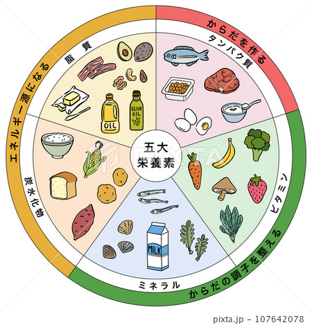 五大栄養素　三色食品群　食品　一覧表 107642078