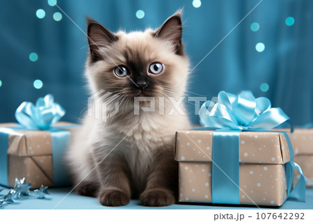 青いリボンのプレゼントボックスと青い目の子猫 Generative ai 青いリボンのプレゼントボックスと青い目の子猫 Generative ai 107642292