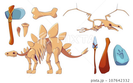 Dinosaur skeleton icon and fossil set for museum 107642332