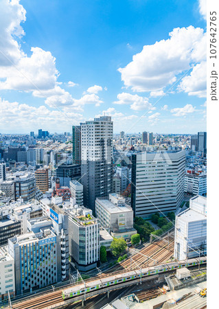 【東京都】東急歌舞伎町タワーから見える新宿の街並み 107642765