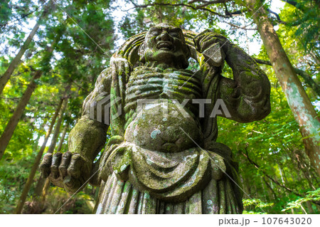 両子寺 仁王像 大分県国東市 両子寺 仁王像 大分県国東市 107643020