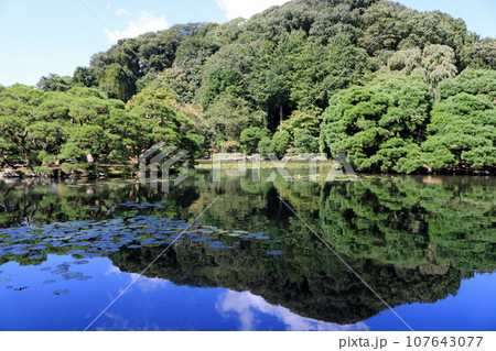 旧南部氏別邸庭園、残暑の風景 旧南部氏別邸庭園、残暑の風景 107643077