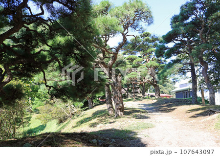 旧南部氏別邸庭園、残暑の風景 旧南部氏別邸庭園、残暑の風景 107643097