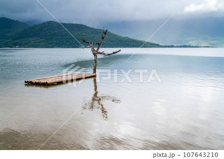 Kick your arse 107643210