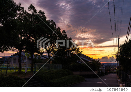 奈良市　秋の住宅街の夕焼け　公園の脇に植えられた街路樹の並木と夕焼け空 107643649
