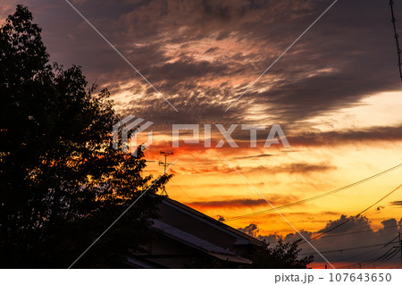 奈良市 秋の住宅街の夕焼け 公園の街路樹と民家の屋根の上に広がる夕焼け空の写真素材 [107643650] - PIXTA