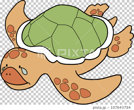 かわいいタッチの泣いているウミガメのイラスト かわいいタッチの泣いているウミガメのイラスト 107643784